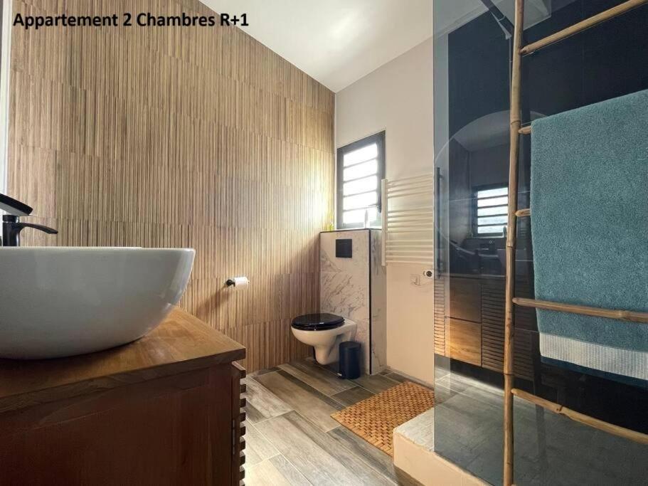 Mont-Vert Exotique - Calme - Vue Et Parking Saint Pierre Ngoại thất bức ảnh